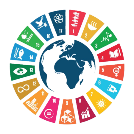 a circle comprised of 17 different colored sections, with an image of the African continent in the center