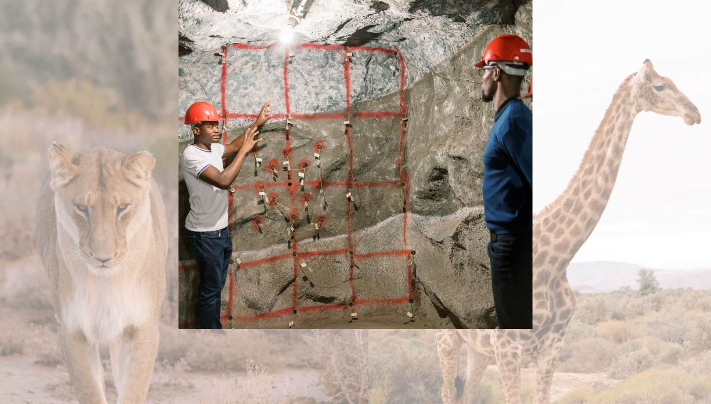 a photo of people in hard hats looking at an underground wall